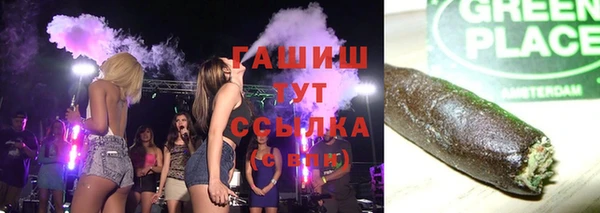 spice Богородицк